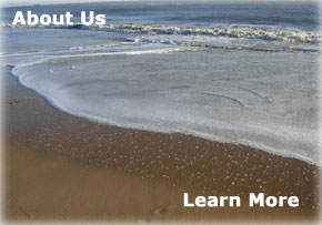 Death And Beyond About Us